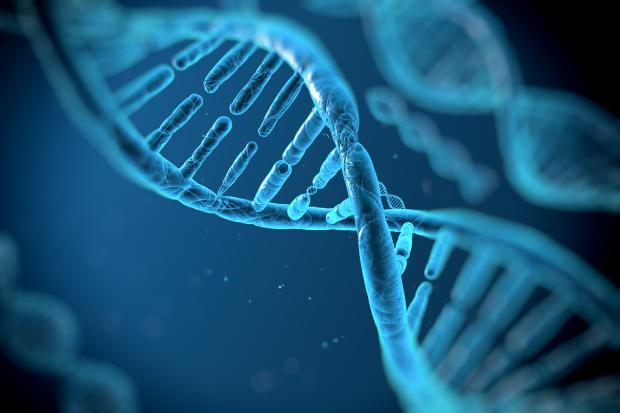 DNA molecules DNA molecules