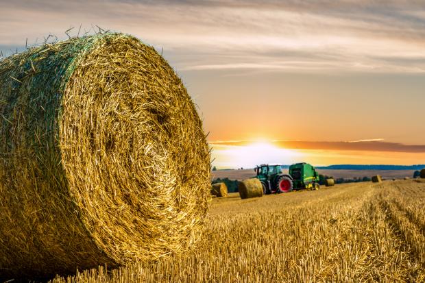 Working in the sun - Farming