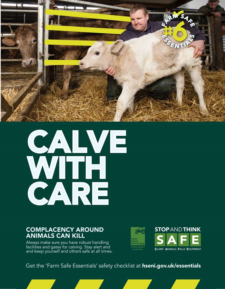 Farm Safe Essentials number 6 Calve with care