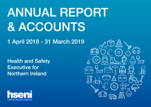 HSENI Annual Report and Accounts 2019